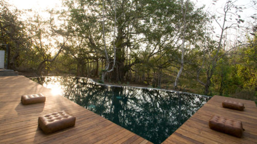 Outdoor swimming pool at Jamtara Wilderness Camp