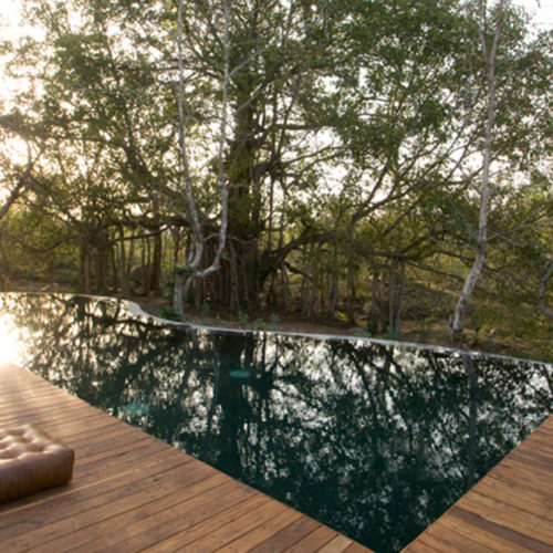 Outdoor swimming pool at Jamtara Wilderness Camp