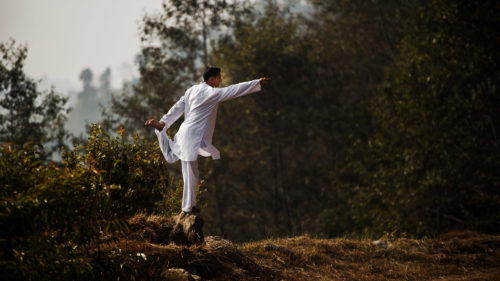 A man performing a yoga pose in a forest