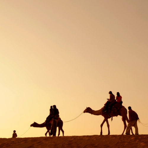 people riding camels at the camel camp hotel