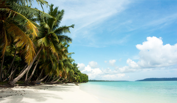11-andamanandnicobarislands