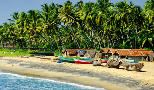 6-goa