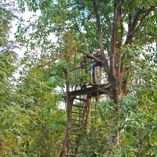 forsyth-lodge-treehouse