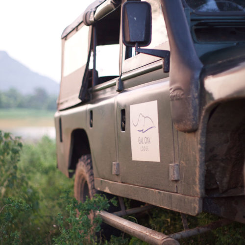 gal-oya-lodge-jeep