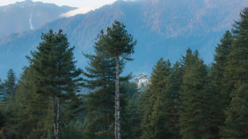 gangtey-lodge-bhutan-view-through-the-trees
