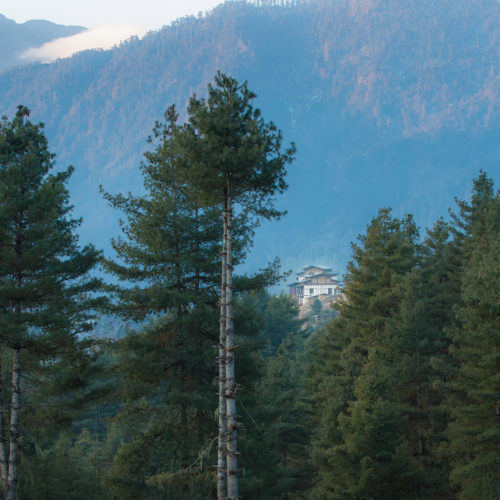gangtey-lodge-bhutan-view-through-the-trees
