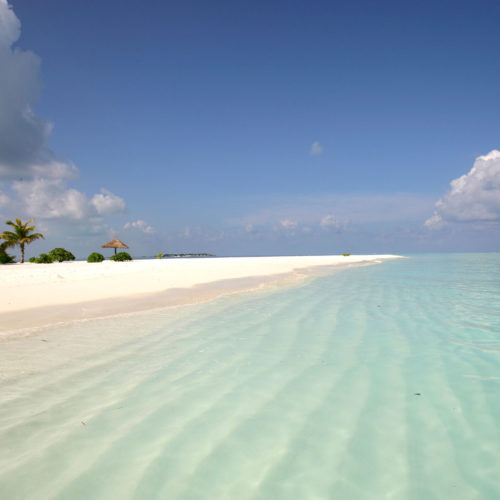 greaves_beyond_india_maldives_beach