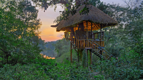 Orange County Coorg Treehouse