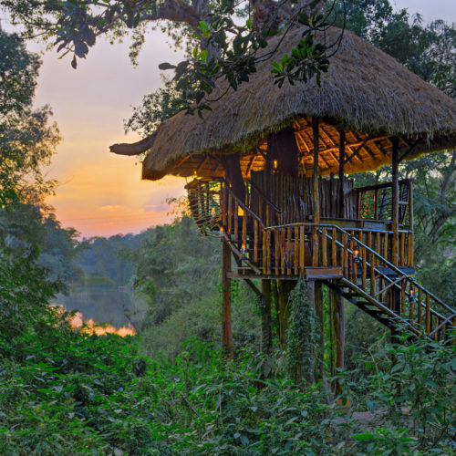 Orange County Coorg Treehouse