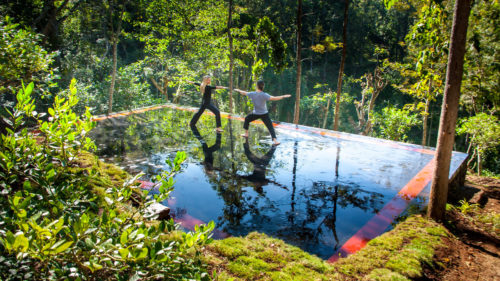 Rajakkad Estate Gardens