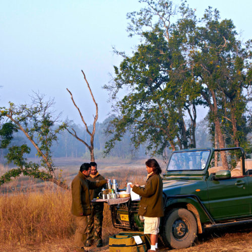 greaves_samode_safari_tea