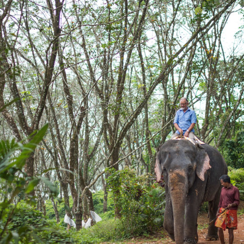 greaves_serenity_kerala_elephant