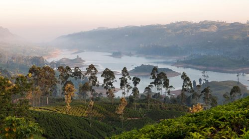 Tea Trails, Sri Lanka