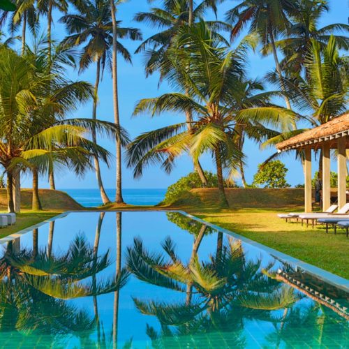 Poolside at the Frangipani Tree