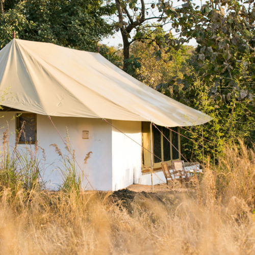 jamtara-wilderness-camp-tent