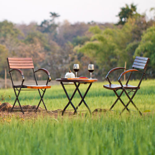 Drinking wine at jamtara-wilderness-camp-wine