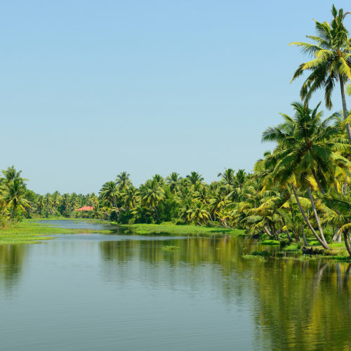 backwaters of kerala