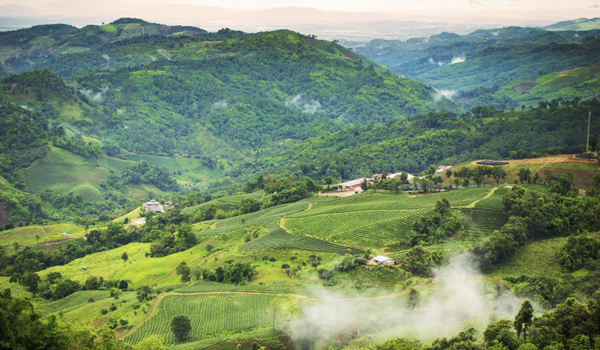 darjeeling