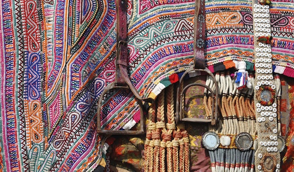 greaves_jaisalmer_guide_embroidery_credit_istock-thinkstock