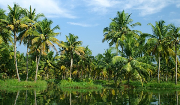 backwaters of Kerala