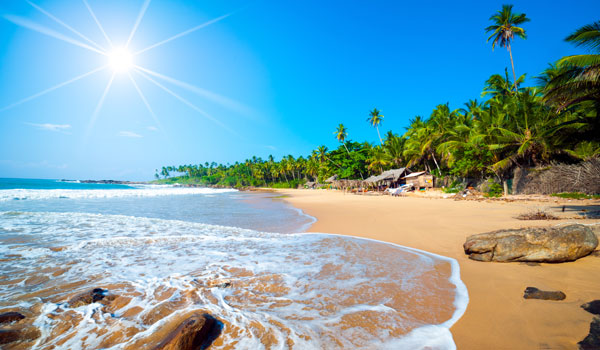 greaves_sri-lanka_tropical-beach_credit-shutterstock-user-anton-gvozdikov
