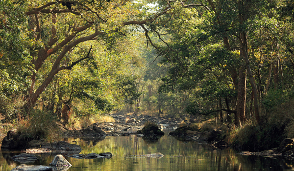 kanhanationalpark