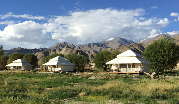 ladakh-trek-_-ultimate-travelling-camp