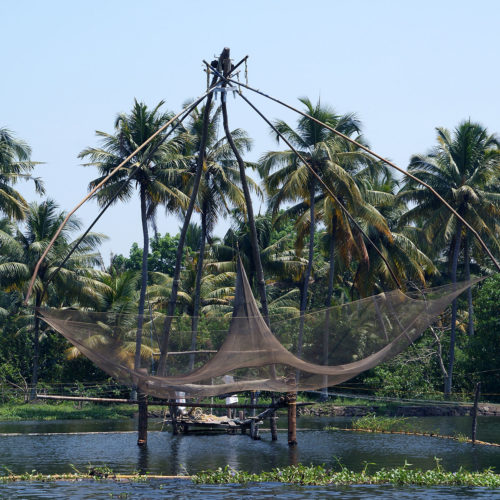 fishing at lake vembanad