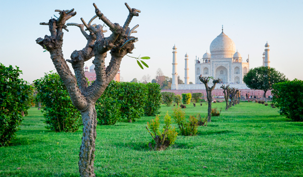 The Mughal-era Mehtab Bagh offers perfect Taj Mahal views © powerofforever/iStock