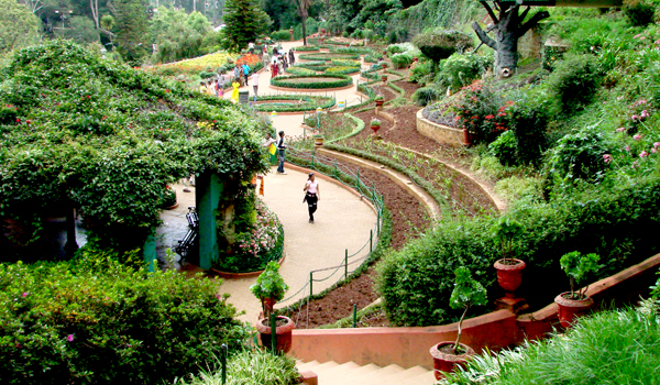 Ooty is a haven of green - and its Government Botanical Gardens are some of the most beautiful in India © Adam Jones/Flickr