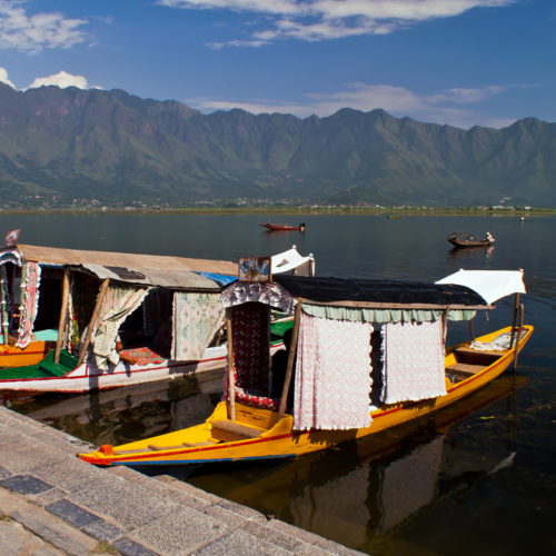 Shikara boats