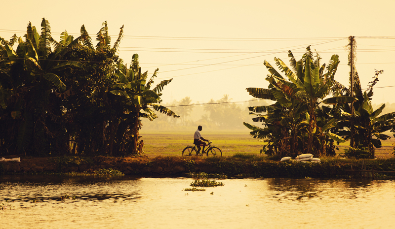 Indian Wellness | Kerala Bike Tour