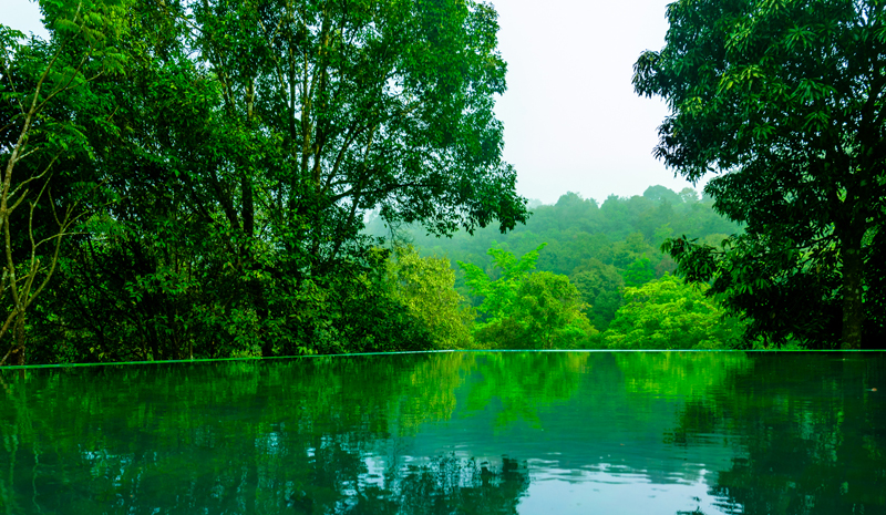 Indian Wellness | Wayanad Wild