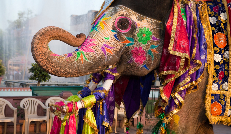 Indian Festivals | Gangaur