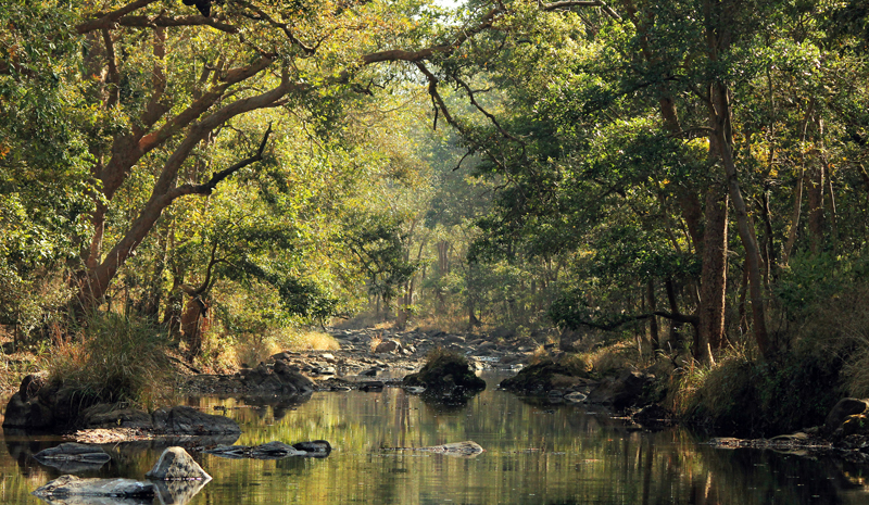 National Parks and Sanctuaries in India | Kanha National Park