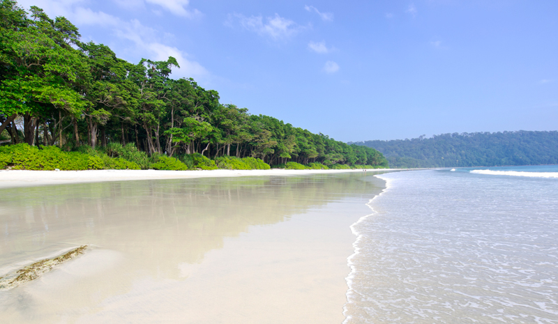 New Year's Eve in India | Andaman Islands