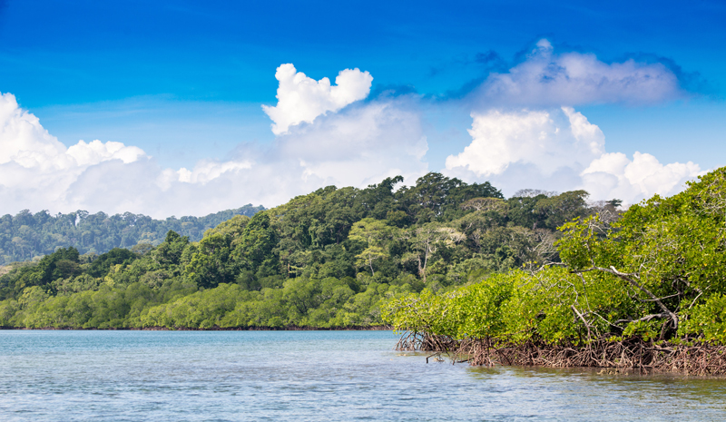 Tour of the Andaman Islands