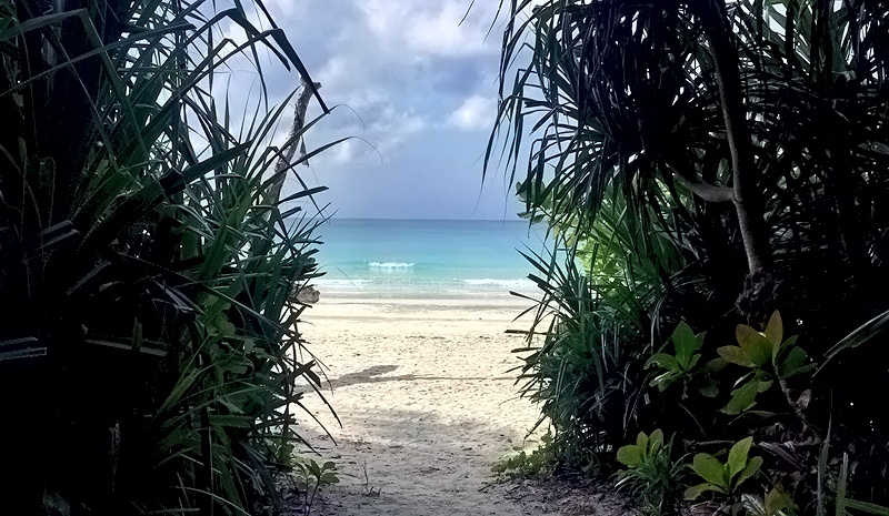 Tour of the Andaman Islands | Beach