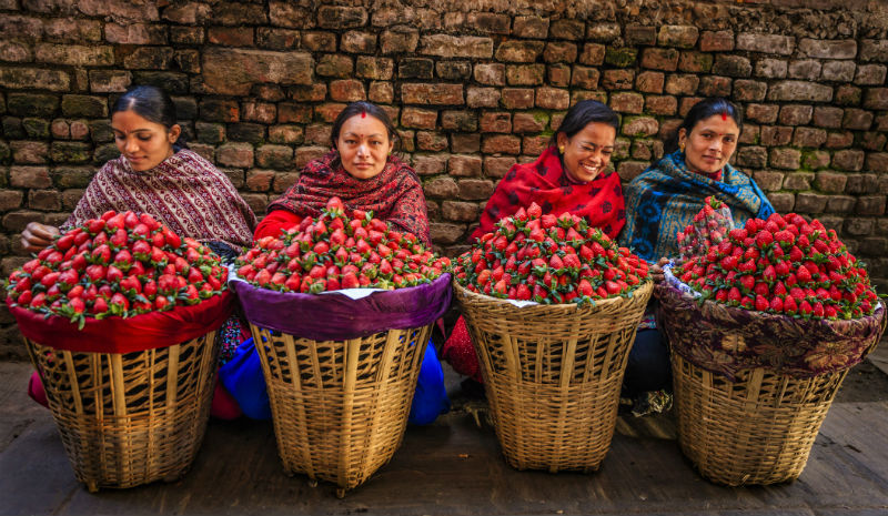 Nepal Guide | Pokhara strawberries