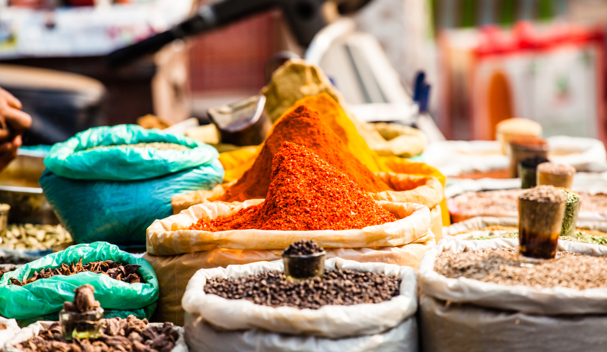 Goan Dishes | Spice Market