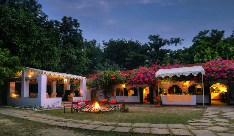 Chambal Safari Lodge | Bar
