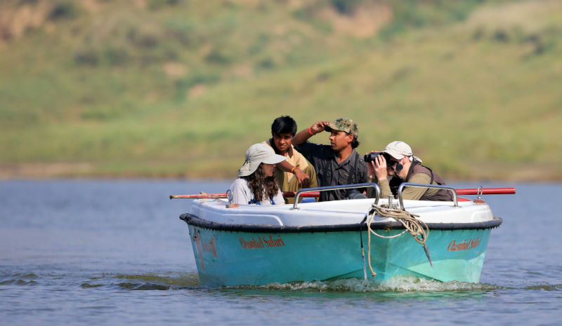 Chambal Safari Lodge | River Safari_