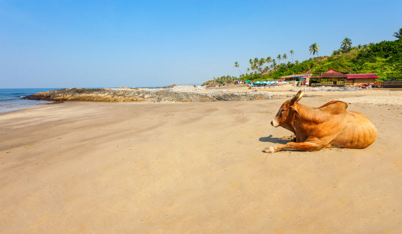 Best Beaches in India | Goa beach