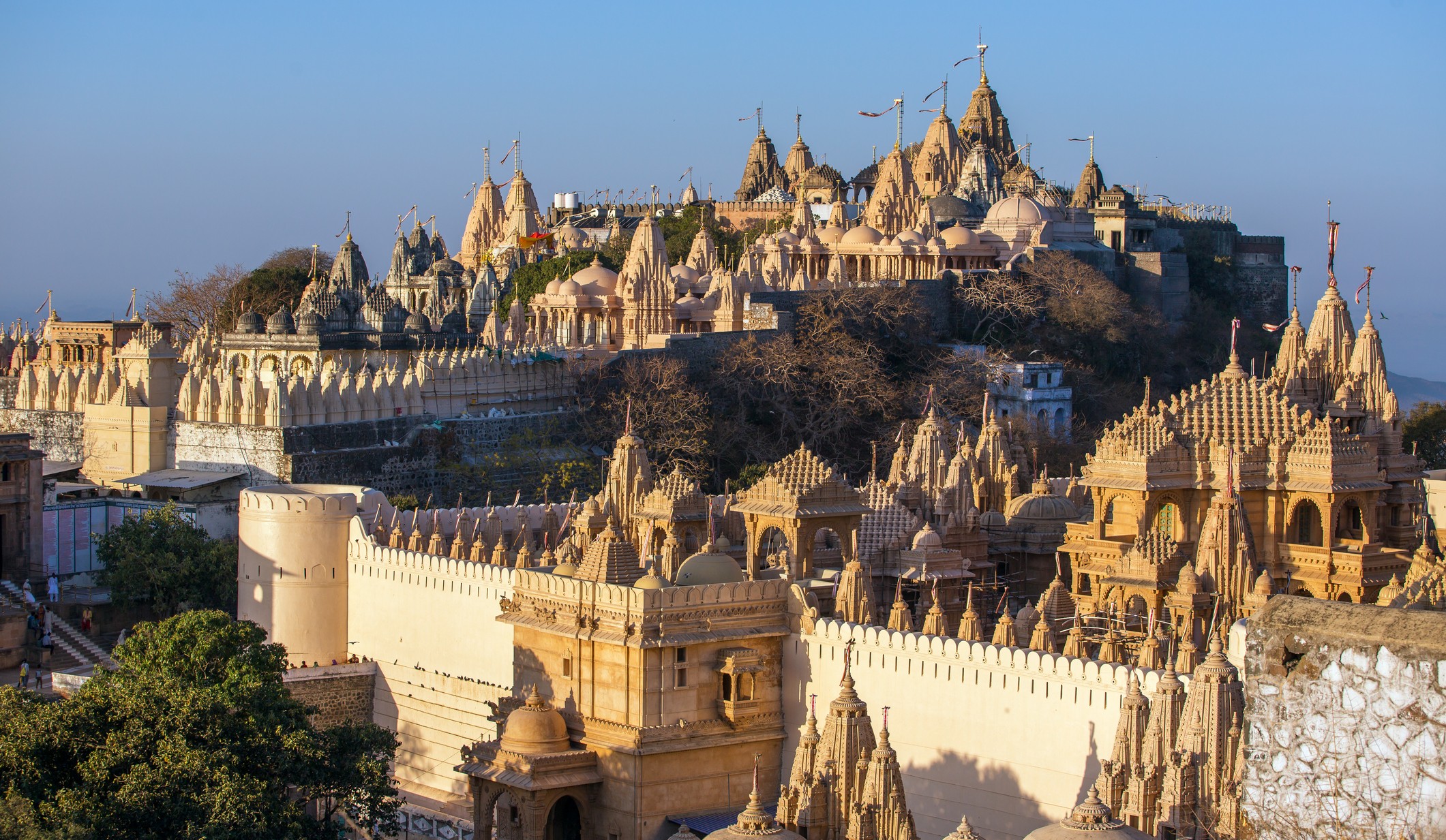 Holiest City in India | Palitana