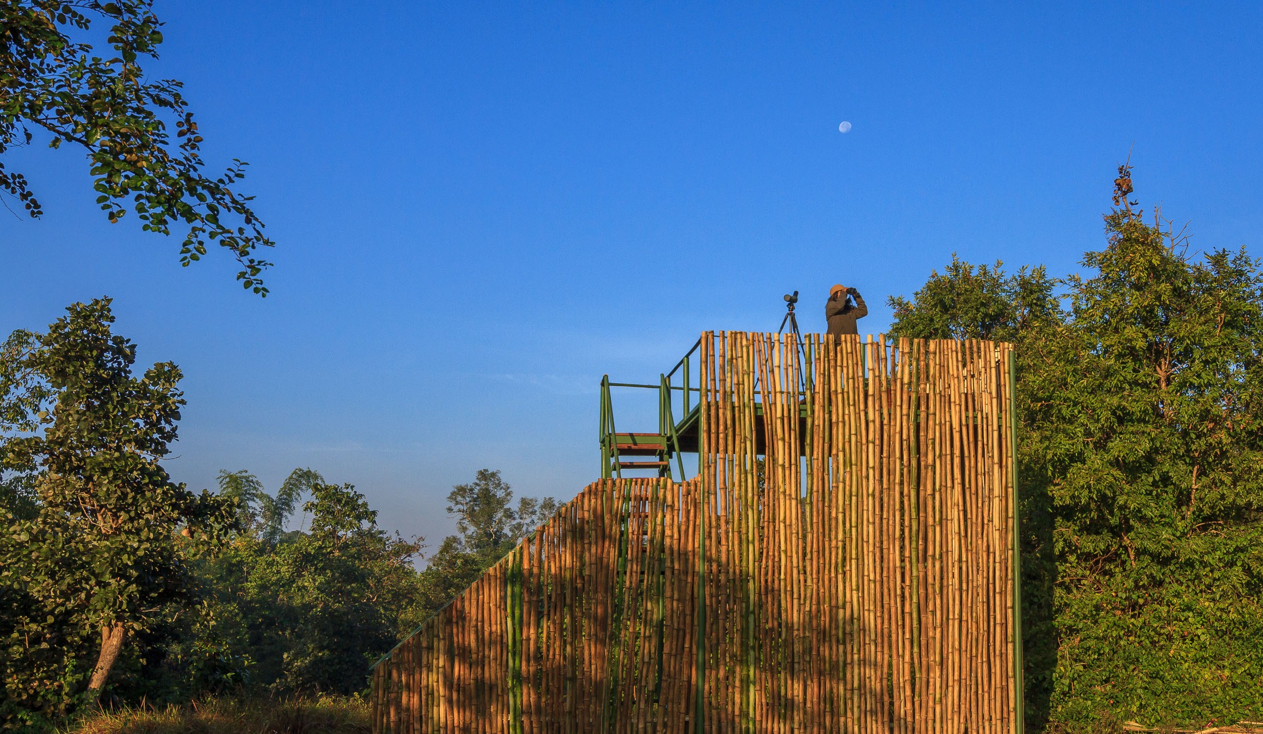 Singinawa Jungle Lodge | Machan bird-watching-2