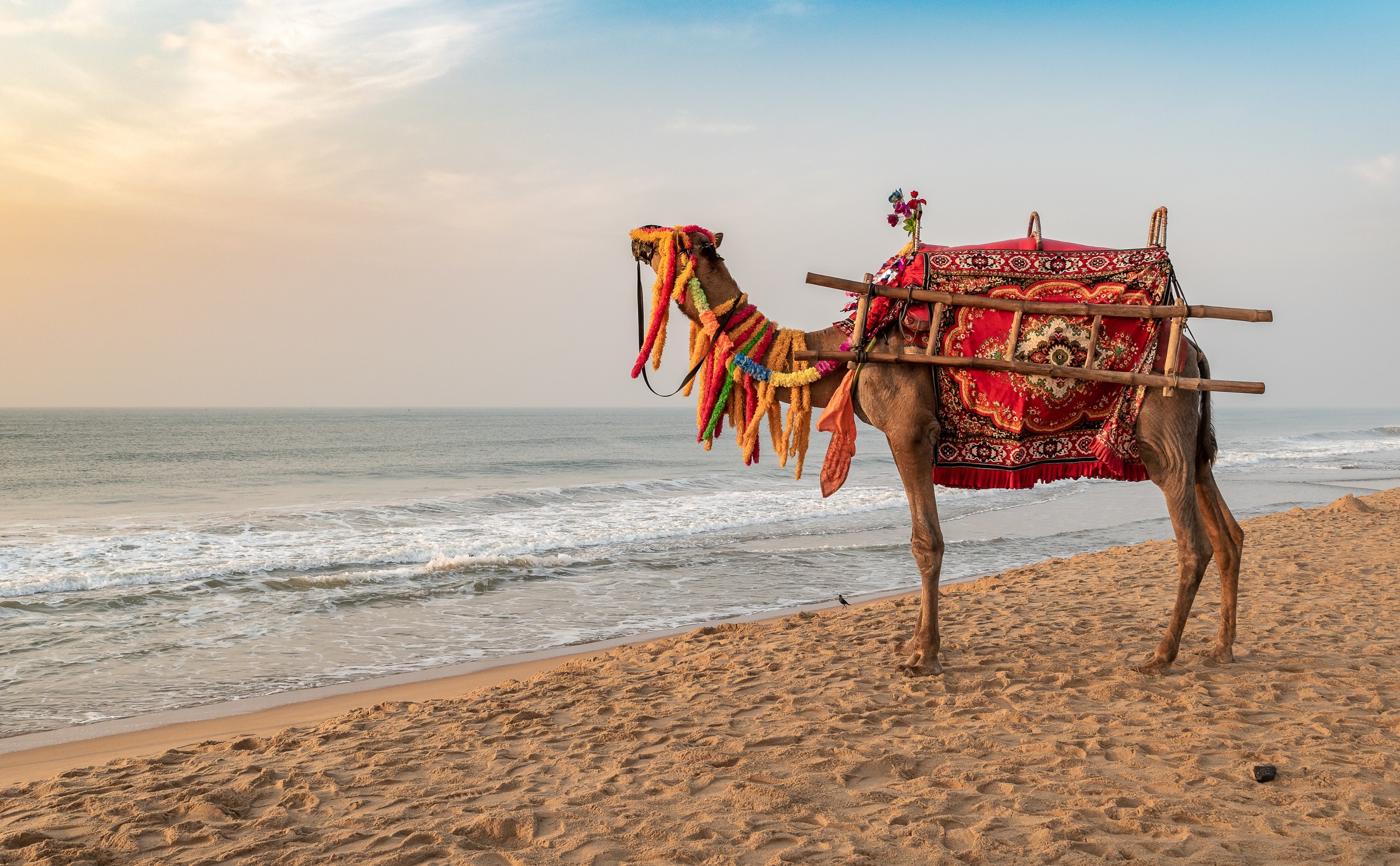 Beaches on East Coast of India | Odisha