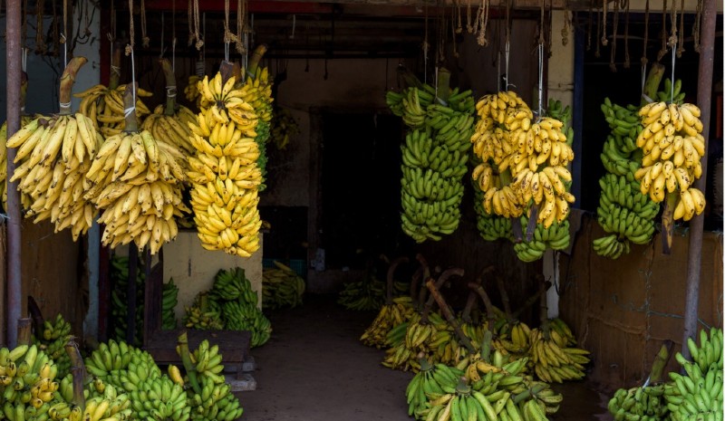 41 Indian Experiences | vegetable market yotrak_iStock