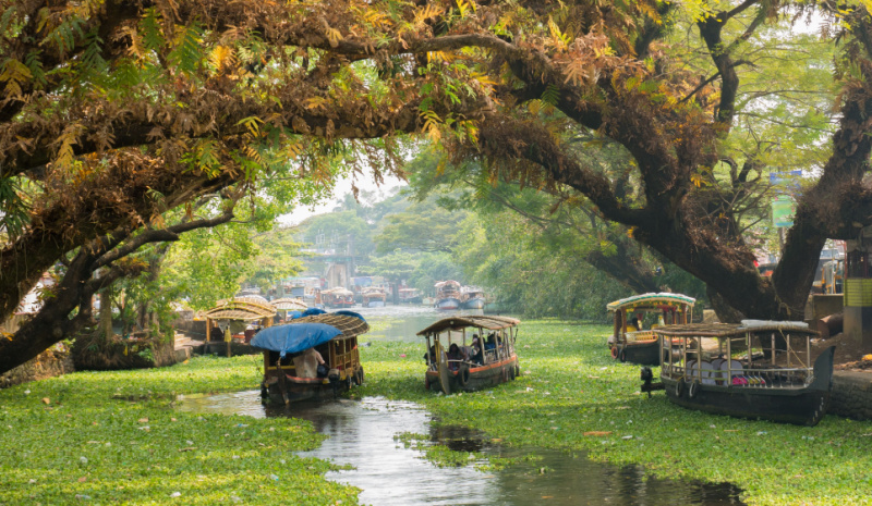 Kerala family guide -Alappuzha boats