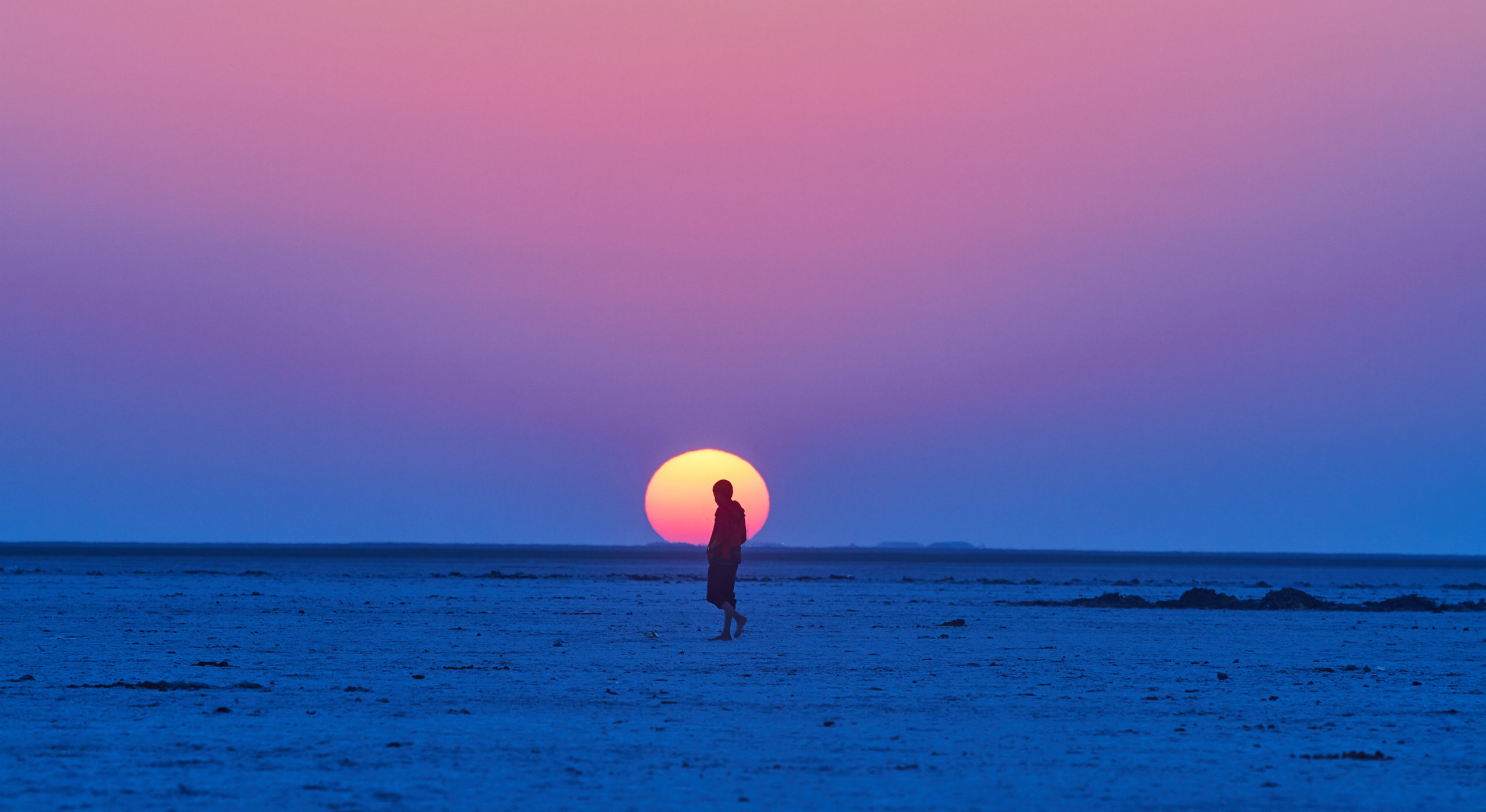 A guide to Rann of Kutch salt marsh in Gujarat in India