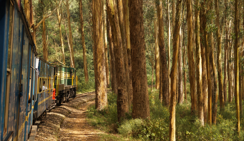Family guide to Tamil Nadu - Nilgiri Mountain Railway